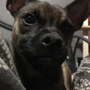 Meet your Posher, Kristen